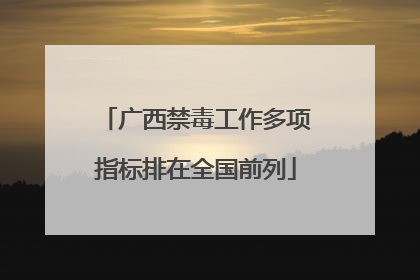广西禁毒工作多项指标排在全国前列