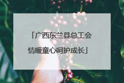 广西东兰县总工会情暖童心呵护成长