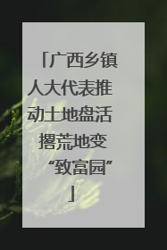 广西乡镇人大代表推动土地盘活 撂荒地变“致富园”