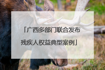 广西多部门联合发布残疾人权益典型案例