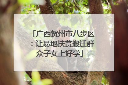 广西贺州市八步区：让易地扶贫搬迁群众子女上好学