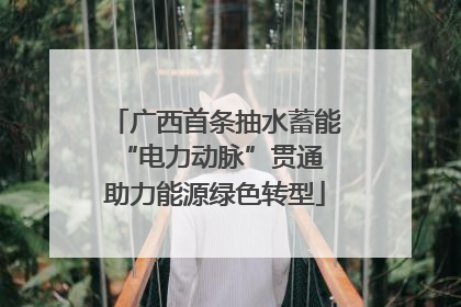 广西首条抽水蓄能“电力动脉”贯通 助力能源绿色转型