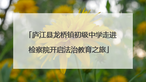 庐江县龙桥镇初级中学走进检察院开启法治教育之旅