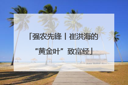 强农先锋丨崔洪海的“黄金叶”致富经