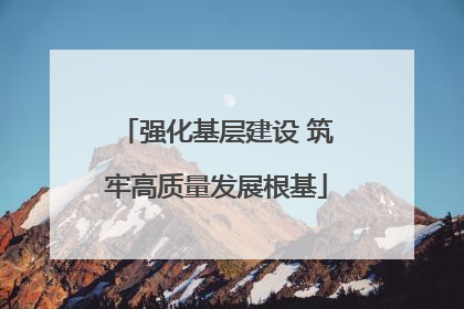 强化基层建设 筑牢高质量发展根基
