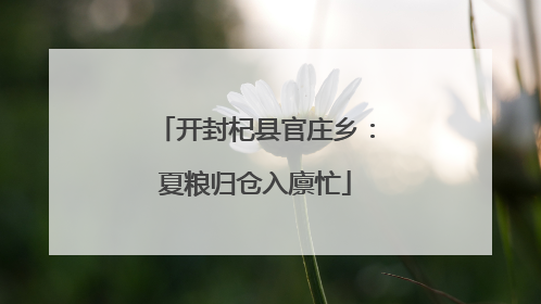 开封杞县官庄乡：夏粮归仓入廪忙