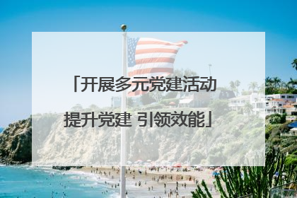 开展多元党建活动 提升党建 引领效能