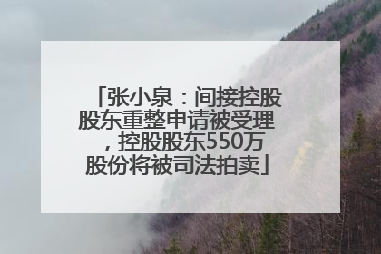 张小泉：间接控股股东重整申请被受理，控股股东550万股份将被司法拍卖