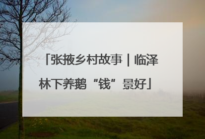 张掖乡村故事｜临泽林下养鹅“钱”景好