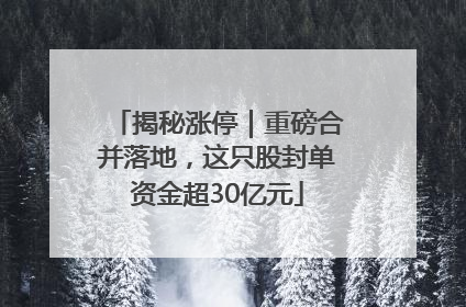 揭秘涨停｜重磅合并落地，这只股封单资金超30亿元