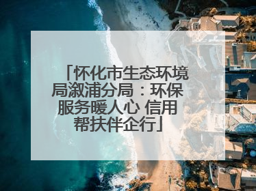 怀化市生态环境局溆浦分局：环保服务暖人心 信用帮扶伴企行