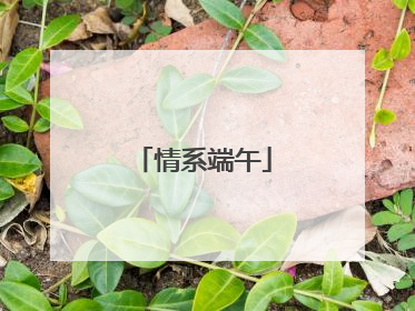 情系端午