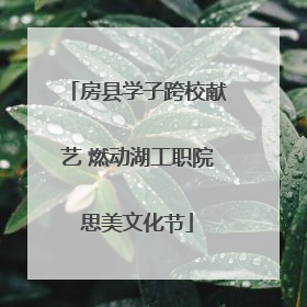 房县学子跨校献艺 燃动湖工职院思美文化节