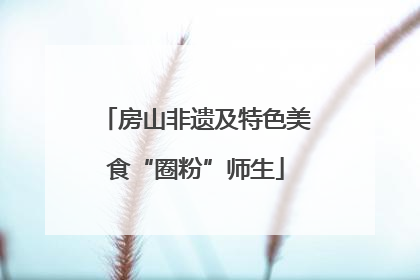 房山非遗及特色美食“圈粉”师生