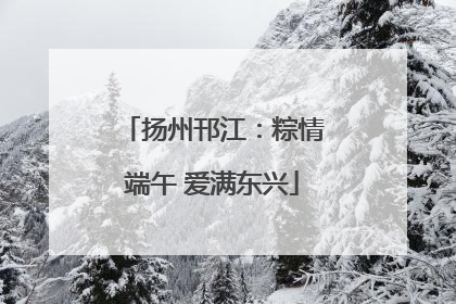 扬州邗江：粽情端午 爱满东兴