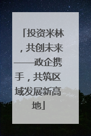 投资米林，共创未来——政企携手，共筑区域发展新高地