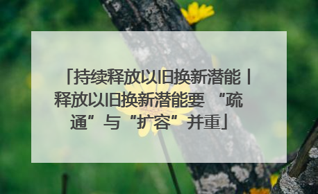 持续释放以旧换新潜能丨释放以旧换新潜能要 “疏通”与“扩容”并重
