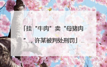 挂“牛肉”卖“母猪肉”，许某被判处刑罚