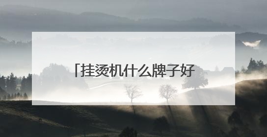 挂烫机什么牌子好？十大品牌揭晓