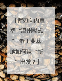 挥刃向内重塑“温州模式” 老工业基地如何从“新”出发？