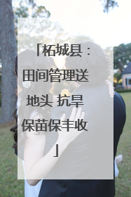 柘城县：田间管理送地头 抗旱保苗保丰收