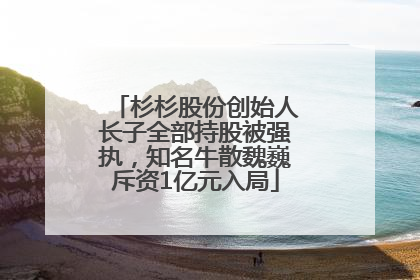 杉杉股份创始人长子全部持股被强执，知名牛散魏巍斥资1亿元入局