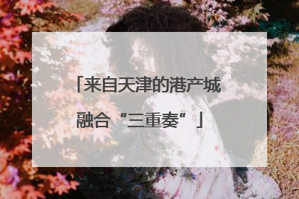 来自天津的港产城融合“三重奏”