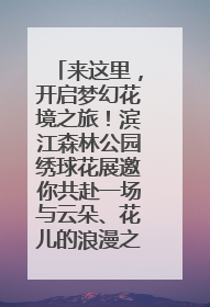 来这里，开启梦幻花境之旅！滨江森林公园绣球花展邀你共赴一场与云朵、花儿的浪漫之约