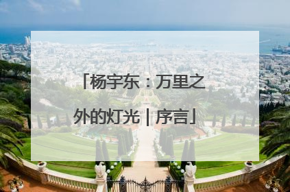 杨宇东：万里之外的灯光｜序言