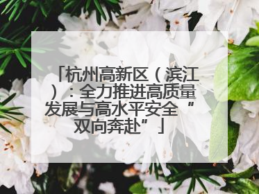 杭州高新区（滨江）：全力推进高质量发展与高水平安全“双向奔赴”