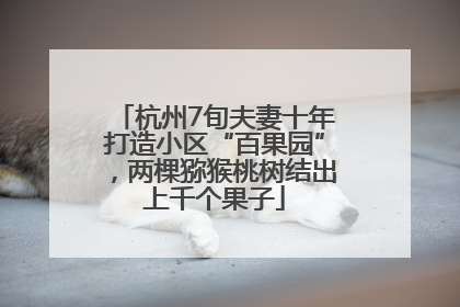 杭州7旬夫妻十年打造小区“百果园”，两棵猕猴桃树结出上千个果子