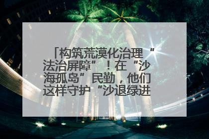 构筑荒漠化治理“法治屏障”！在“沙海孤岛”民勤，他们这样守护“沙退绿进”的生态奇迹