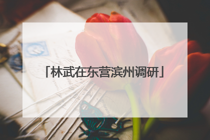 林武在东营滨州调研