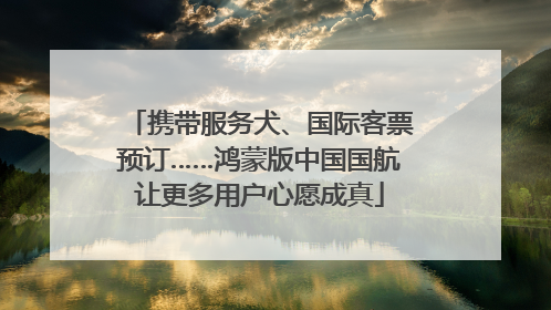 携带服务犬、国际客票预订……鸿蒙版中国国航让更多用户心愿成真