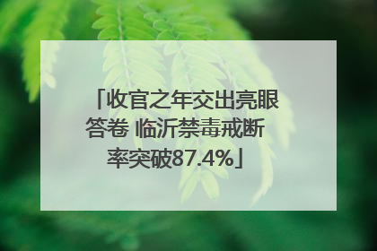 收官之年交出亮眼答卷 临沂禁毒戒断率突破87.4%