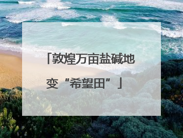 敦煌万亩盐碱地变“希望田”