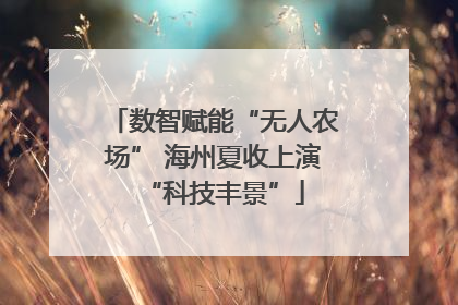 数智赋能“无人农场” 海州夏收上演“科技丰景”