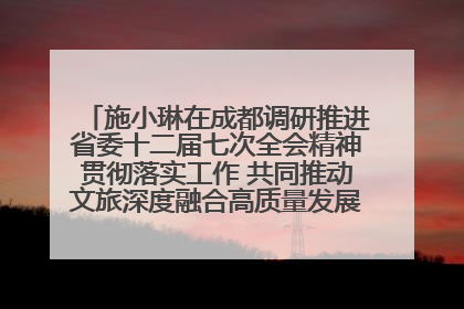 施小琳在成都调研推进省委十二届七次全会精神贯彻落实工作 共同推动文旅深度融合高质量发展 加快打造支柱产业民生产业幸福产业