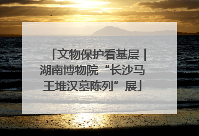 文物保护看基层｜湖南博物院“长沙马王堆汉墓陈列”展