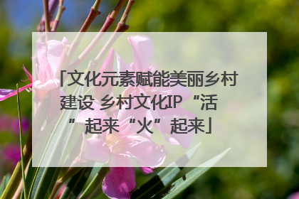 文化元素赋能美丽乡村建设 乡村文化IP“活”起来“火”起来