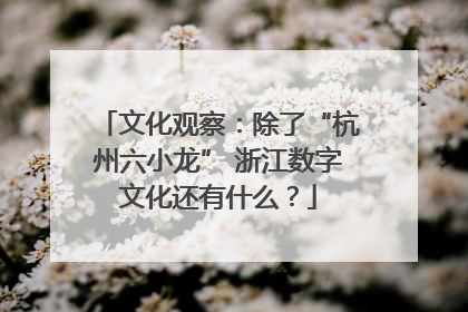 文化观察：除了“杭州六小龙” 浙江数字文化还有什么？