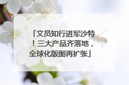 文员知行进军沙特！三大产品齐落地，全球化版图再扩张