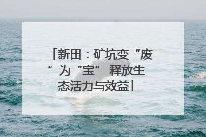 新田：矿坑变“废”为“宝” 释放生态活力与效益