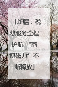 新疆：税费服务全程护航 “商博磁力”不断释放