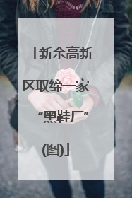 新余高新区取缔一家“黑鞋厂”(图)