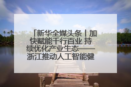 新华全媒头条丨加快赋能千行百业 持续优化产业生态——浙江推动人工智能健康有序发展观察