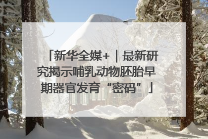新华全媒+｜最新研究揭示哺乳动物胚胎早期器官发育“密码”