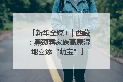 新华全媒+｜西藏：黑颈鹤家族高原湿地喜添“萌宝”
