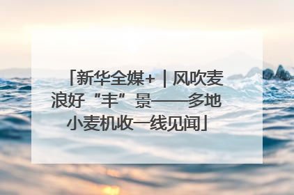 新华全媒+｜风吹麦浪好“丰”景——多地小麦机收一线见闻