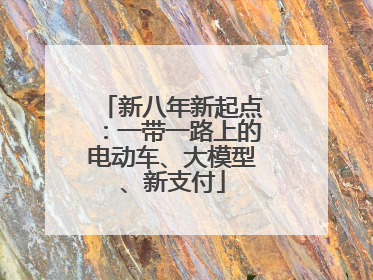 新八年新起点：一带一路上的电动车、大模型、新支付